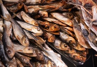 Dried Fish